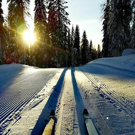 Jaenkae 16 Kovalammen Rannalla, Valaistun Ladun Vieressae Pudasjarvi