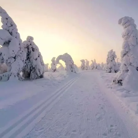 Jaenkae 16 Kovalammen Rannalla, Valaistun Ladun Vieressae *